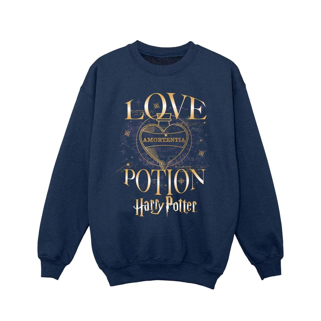 Harry Potter Girls Love Potion Sweatshirt