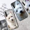 Westie Dog Cover For Huawei Nova Y61 Y91 Y60 Y70 Y90 9 10 SE 11 Pro 5T 11i 8i 3i P20 P40 P30 Lite Case