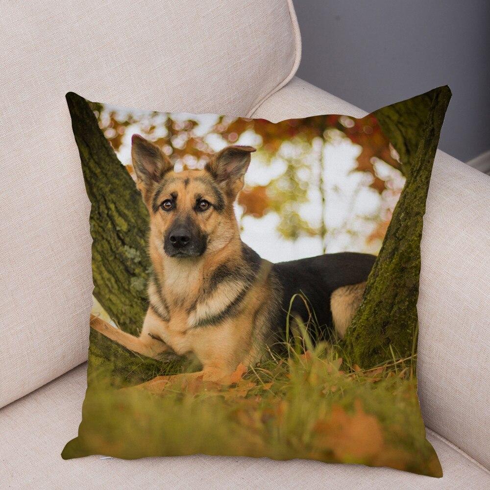 decorative dog pillows
