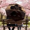 1pc Dune Automatic Open/Close Umbrella Compact Folding Umbrella with 8-Rib Shaft Lightweight Esign, for Women/Men1219A