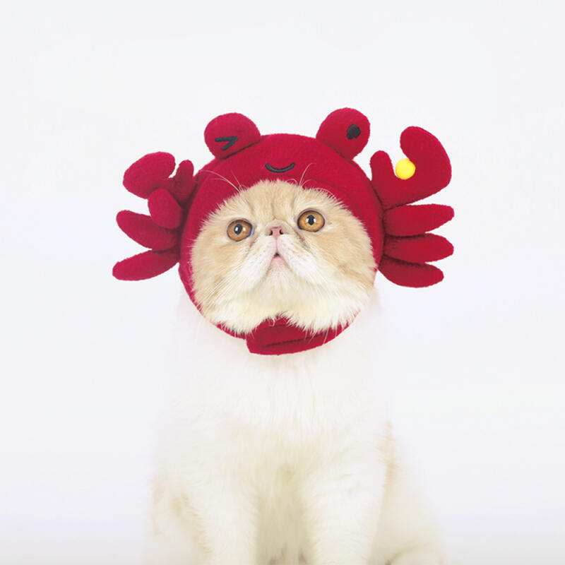 

Dog Cat Crab Hat
