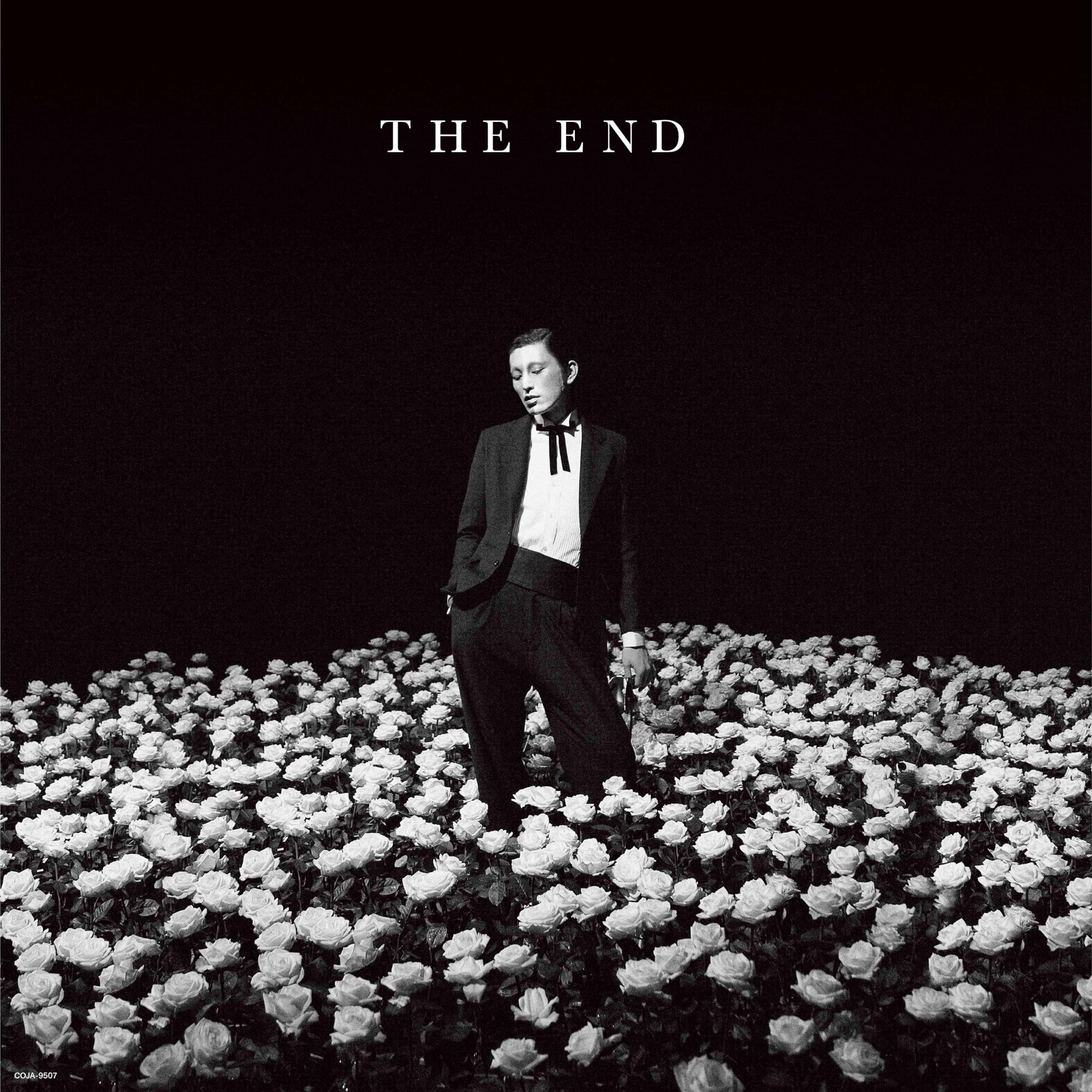 

THE END [Analog]