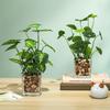 Kapa Bear Artificial Desktop Potted Plants