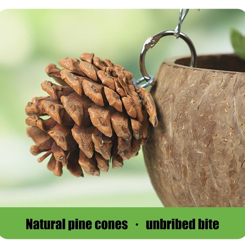 Natural Birdhouse Toy Parakeets Resting Bed Cage Hanging Swing Breeding Nest for Budgies, Lovebirds