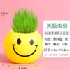 Pot de fleur Smiley Face Créatif avec Graines de Tête d'Herbe et Kit de Terreau Nutritif pour Décoration de Bureau Intérieur et Plaisir du Jardinage