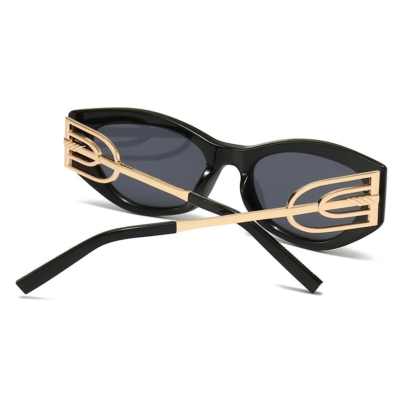 Angular Cat-Eye Sunglasses Modern Retro Temples with Jumping Shape Decorative Sunglasses for Women Fashion Lh