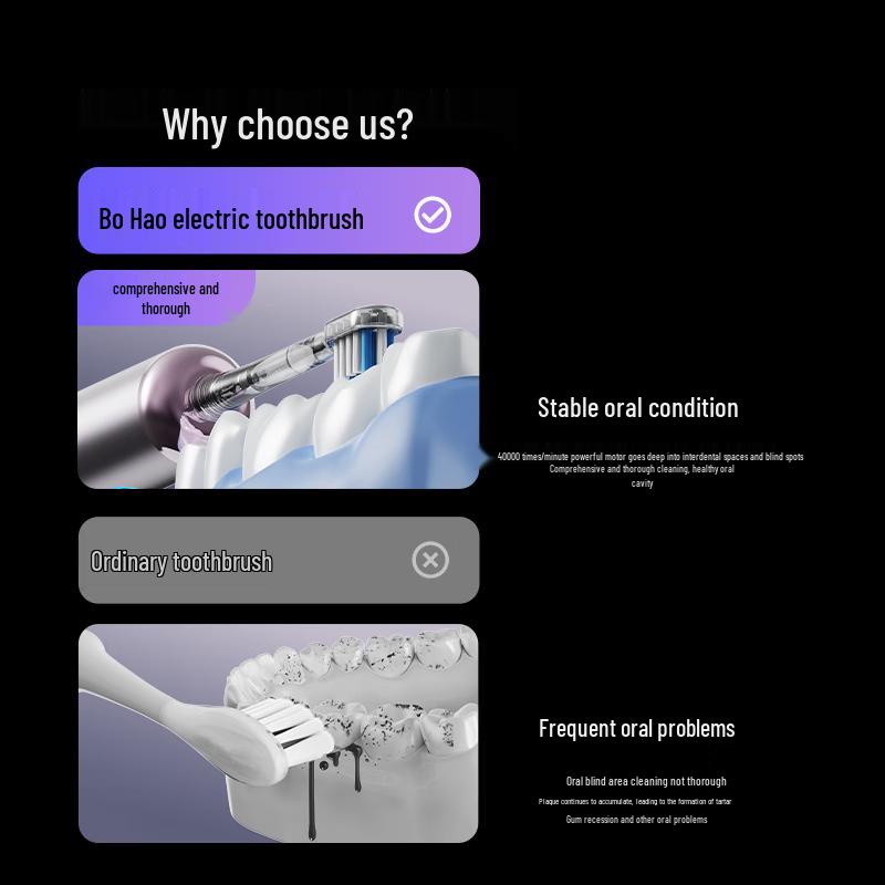 Bo Hao LS-1 Rechargeable Sonic Electric Toothbrush