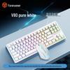 Qianxingzhe V80 Wired RGB Mechanical Keyboard and Silent Mouse Combo