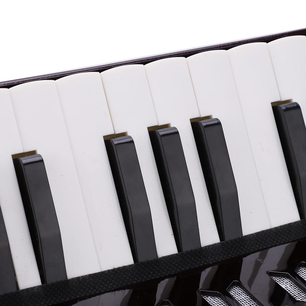 Toy Mini Accordion for and Beginners At Home with Strap Accordion, 17-Key, 8-Bass Accordion, Piano, Music, Playing, Practice, Easy-to-Use (Black)