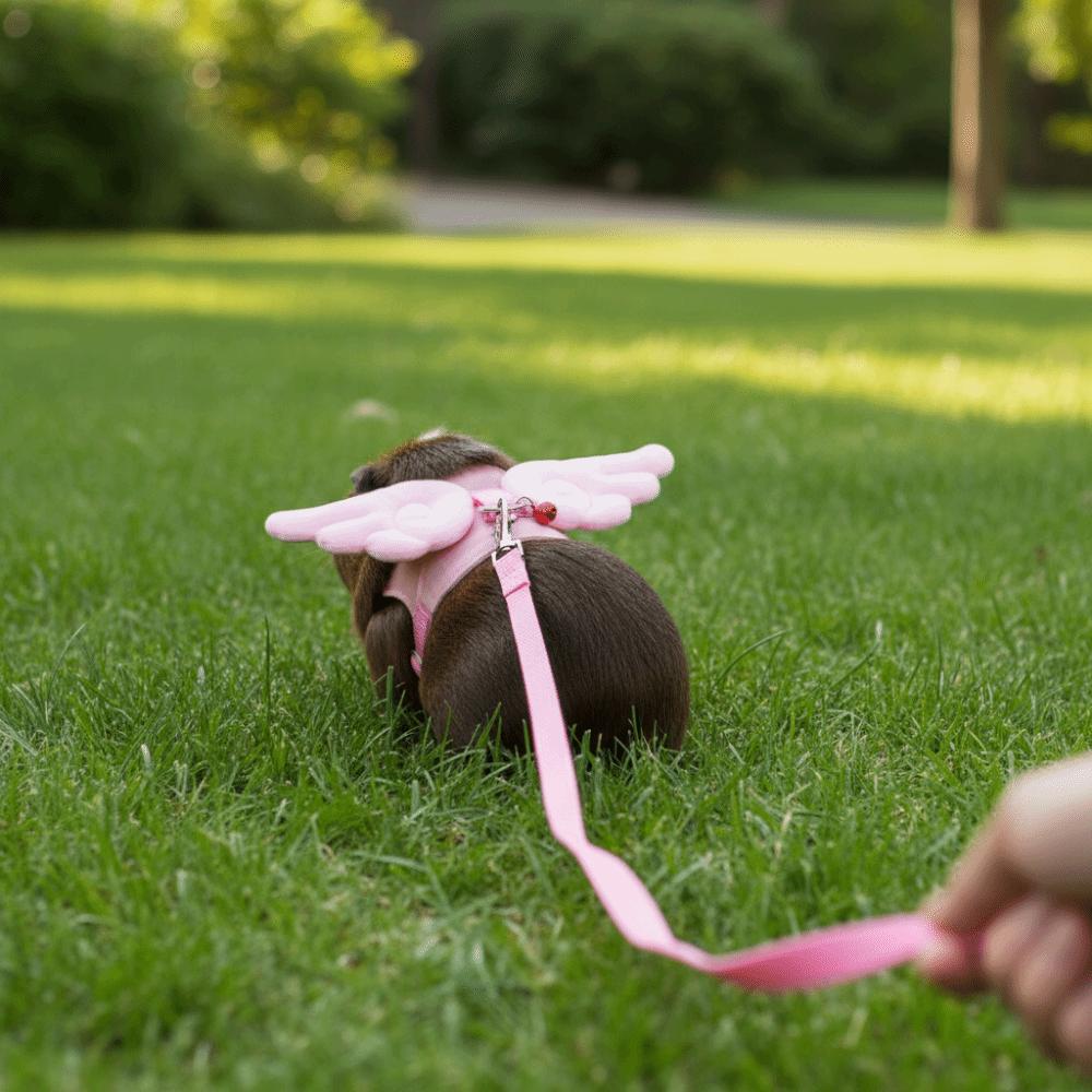 Adjustable Ferret Traction Harness Cartoon Pet Traction Rope Guinea Pig Chest Strap Pet Supplies