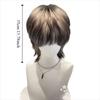 Handsome Anime Cos Wig Siamese Cat Short Gradient Hair Wolf-Tailed Mullet Head Wigs  for Boys