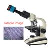 37MP Microscope Camera 1080P 60FPS HDMI USB Industrial Microscope Camera with Conversion Adapter