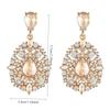 Water Droplet Shaped Pendant Earrings for Women, A New Fashionable and Exaggerated Earring Gift