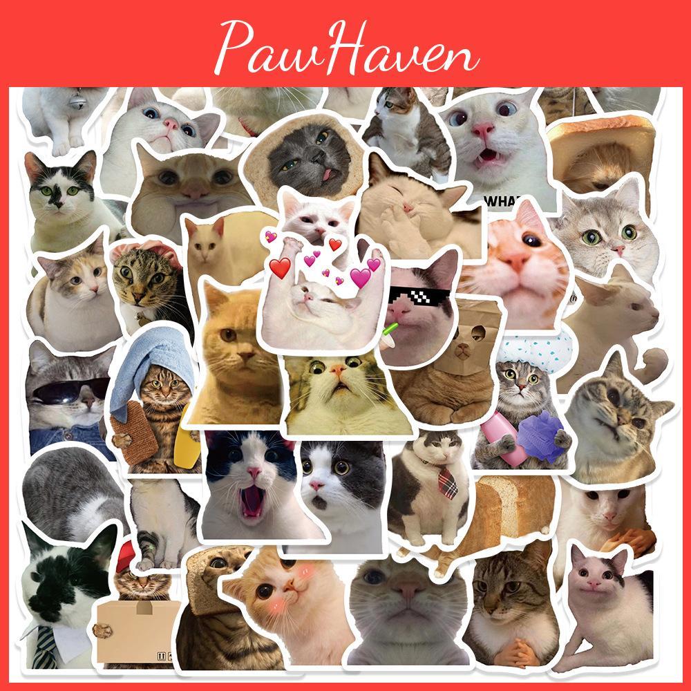 50 Cute Cartoon Cat Stickers For Scrapbooking Luggage Phone Cases Guitars And Skateboards