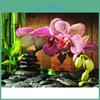 Painting 5d Diy Full Diamond Round Flower Embroidery Sale Rhinestone Picture Diamond