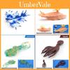Marine Life Pvc Sea Slug Squid Model Collection With Realistic Sea Creatures For Home Decor