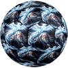 Harry Potter Theme Size 5 Soccer Ball, Suitable for Both Indoor and Outdoor Matches, a Gift Suitable for Everyone.