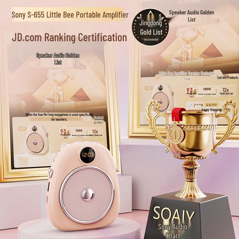 Soaiy S655 Portable Voice Amplifier CN Plug (adapter Included)