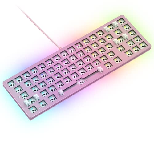 

Glorious GMMK2 PC Gaming Keyboard, 65% Compact, Barebones, Hot-Swappable, RGB, Wired, Type-C, USB, Customizable, DIY Hot-Swappable, Tenkeyless, Mechan