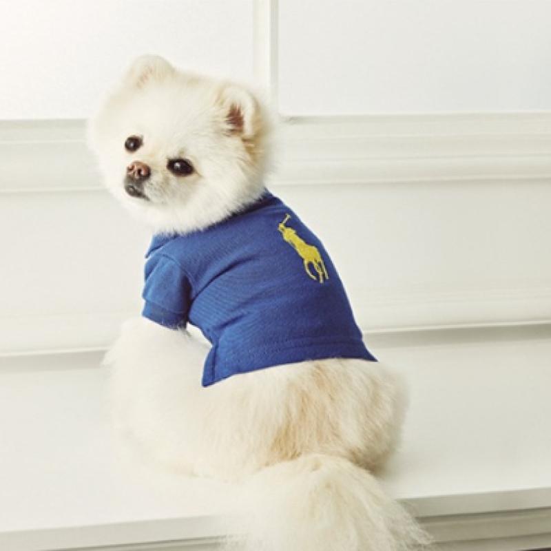 Ralph Lauren Polo Bear Cotton Mesh Dog Polo Shirt Hmpogfthr920005600