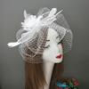 Vintage Style Fascinator Hat Exquisite Elegant Feather Mesh Veil Hat Sweet Bow Fancy Flower Hair Band Race Millinery