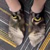 Cute And Interesting Cat Head Pattern Calf Socks for Men And Women,Comfortable And Breathable, For Family, Party, Couple Gifts