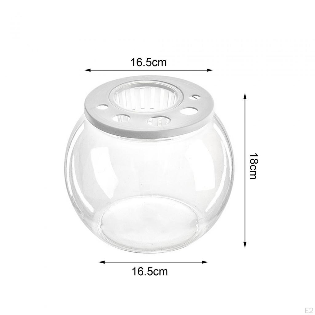 Bowl Tank Creative Transparent Table Ornament Trendy DIY Micro Landscape Aquarium for Office