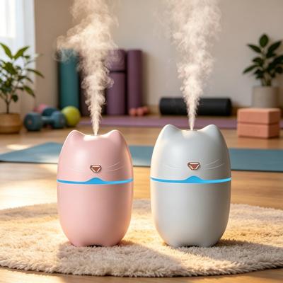 Climatizzazione – Umidificatori
