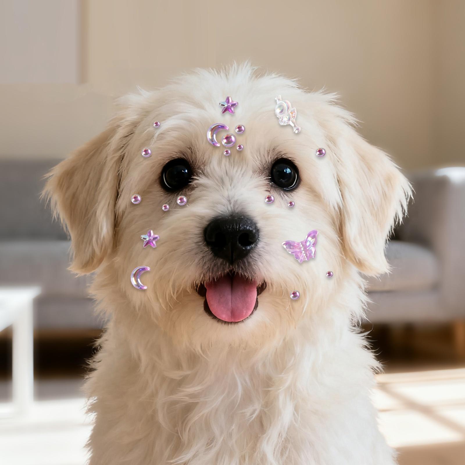 

Pet Decorative Stickers Cartoon Diamond Stickers Cat Dog Accessories Creative Photo Props DIY Pet Supplies Self-Adhesive Embellishments for Pets one size фіолетовий