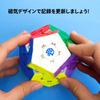 GAN Dodecahedron, Gray, Official Frost Magnetic Mega GanCube, Stickerless, Dodecahedron, Competition-grade Magnetic Cube, Easy To Turn, Magic Cube