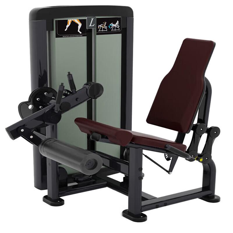 Professional Leg Extension Machine