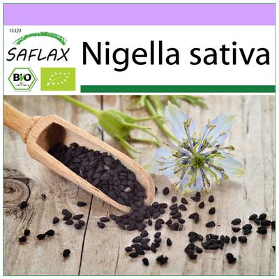 Biologisch – Schwarzkümmel – 300 Samen – Nigella sativa