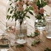 Nordische Glasvase Aromatherapieflasche Hydroponik Kleiner Blumentopf Heim Esstisch Vasen Wohnzimmer Ästhetische Dekoration