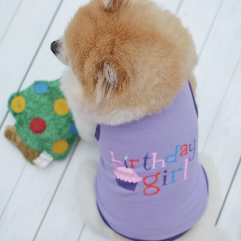 Pet Puppy Summer Vest Birthday Dress T-shirt Clothes