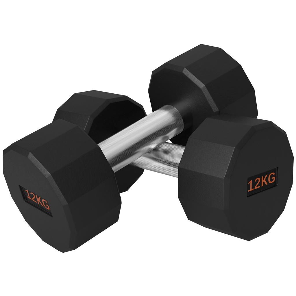 Dumbbells Weights Set with 12-Sided Shape and Non-Slip Grip for Men Women Home Gym Workout, 2 X 12kg