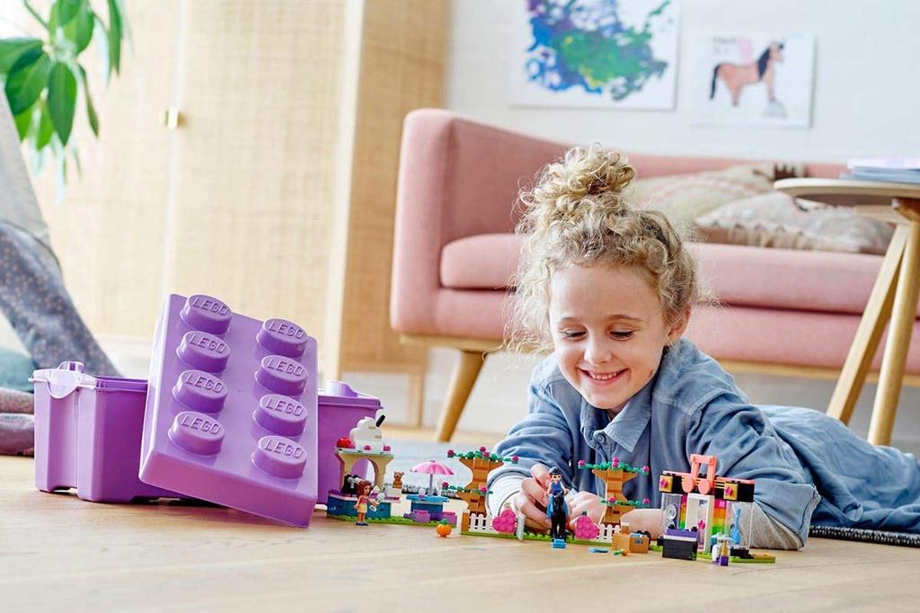 LEGO Friends Pudełko Startowe 41431