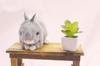 Take Off Plush Toy Maron Netherland Gray