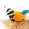 Interactive Cat Birds Toy for Indoor Cute Cat Toy with Realistic Bird Sounds Toy