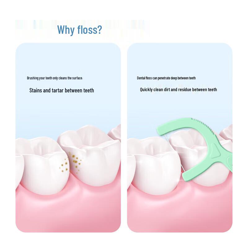 Xiao Lu Ma Ma Youth Fresh Dental Floss Picks