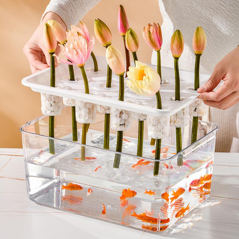 Eco-Friendly Betta Fish Tank: Stylish Desktop Micro Landscape for Living Room & Office with Goldfish & Plant Symbiotic Aquarium