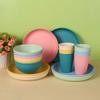 Wheat Straw Dinnerware Set Eco-friendly Safety Plates Cups Bowels Home Party Tableware Set Outdoor Camp Candy Colour Gift