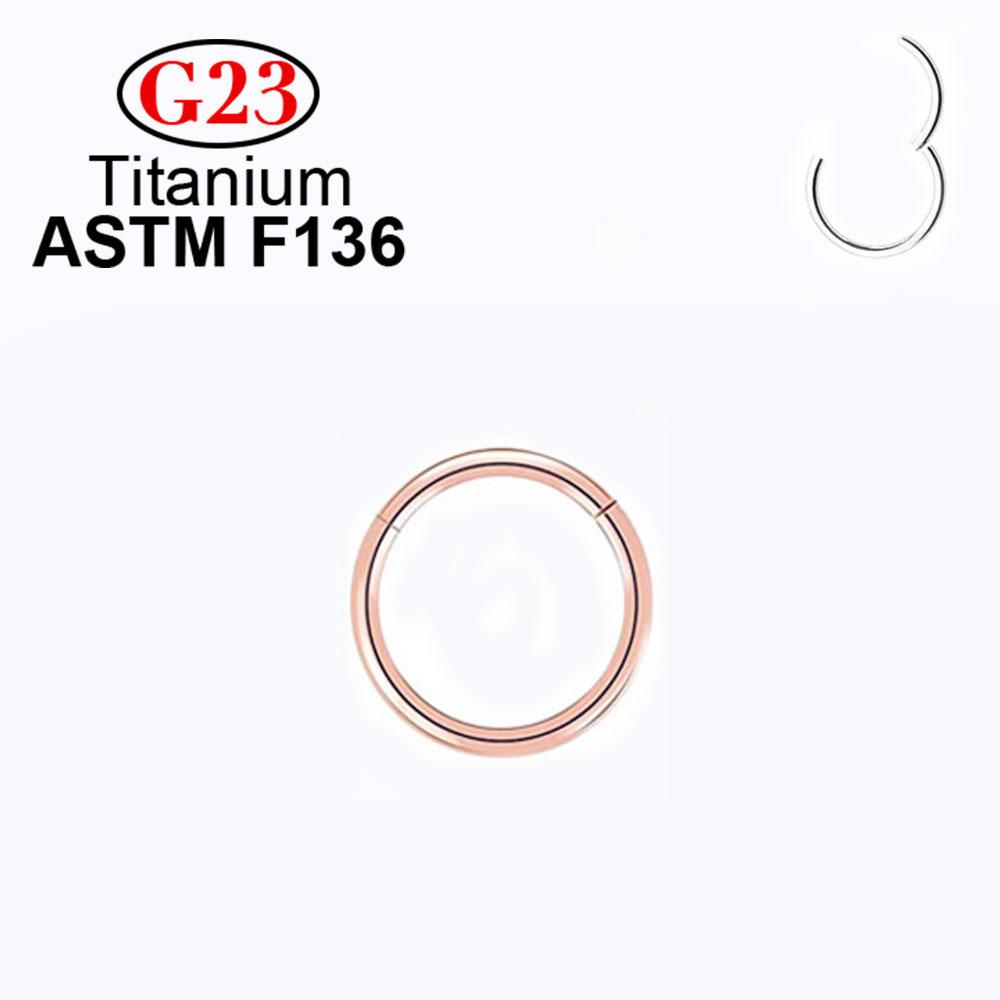 1/10 Stück Nasenring Piercing G23 Titan Clicker Ohrknorpel Ohrring Helix Septum Ringe Körperschmuck Ohrringe Damen