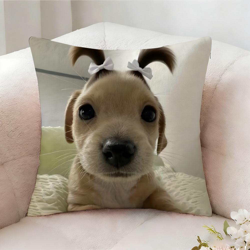 Federa per Cuscino Divertente Meme Cane, Stampata su Entrambi i Lati, Cuscino per Divano, Cuscino per Testiera del Letto