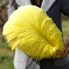 1 pz Piuma di Struzzo Elegante Bianca Soffice per Festa di Matrimonio Stanza di Casa Decorazioni Fai da Te 45-50 cm