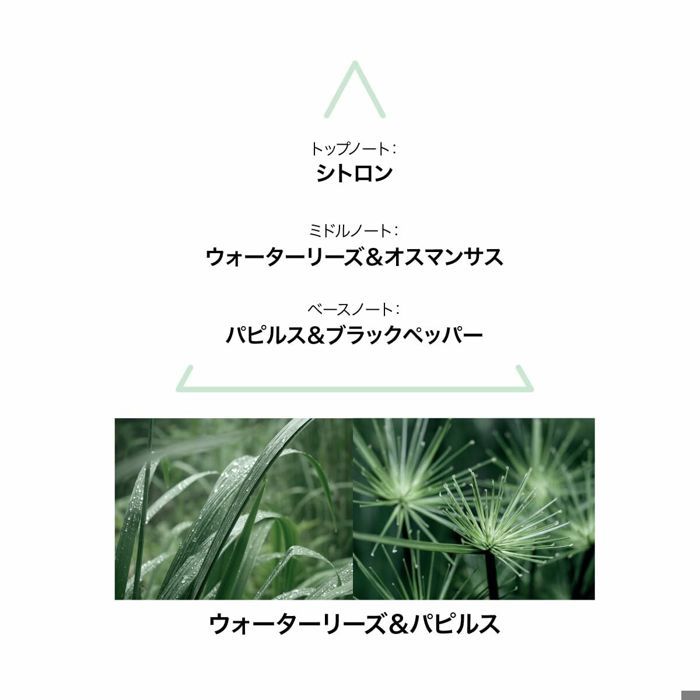 Parfum Femme Le Couvent des Minimes ABSOLU DE PARFUM - EXTRAIT DE PARFUM - PARFUM