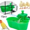 10 Pieces Chicken Waterer Drinking Cups Hanging Feeder Tools Lightweight Sturdy Small Size for