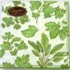 Arm Company Caspari Paper Towels, Large, Herb Garden, 4670L