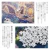 MISITU Micro Piece Jigsaw 1000 Landscape Stylish Swan Castle x 38 Puzzle, Pieces, Painting, Castle, Garden, Lake, Gift, Birthday, Christmas, Interior,