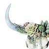 Wall Ornament Beautiful Decorative Resin Succulent/Flower Cow Skull Hanging Pendant for Room