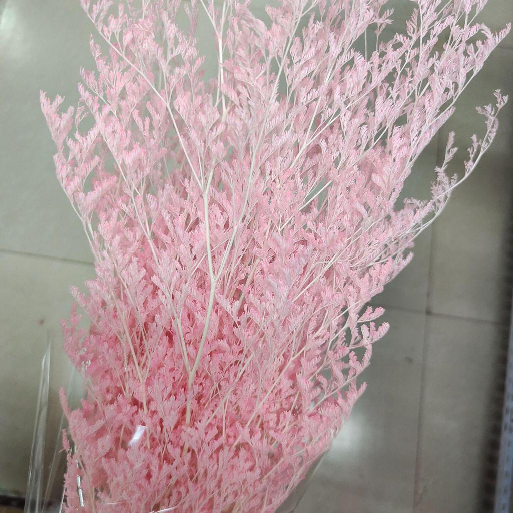 Everlasting White Dried Baby's Breath Flowers for Home Decor and Photography